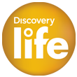 discovery_life