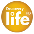 discovery_life_hd